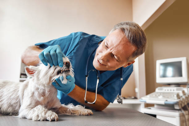 Best Emergency Root Canal Therapy in Leonardo, NJ